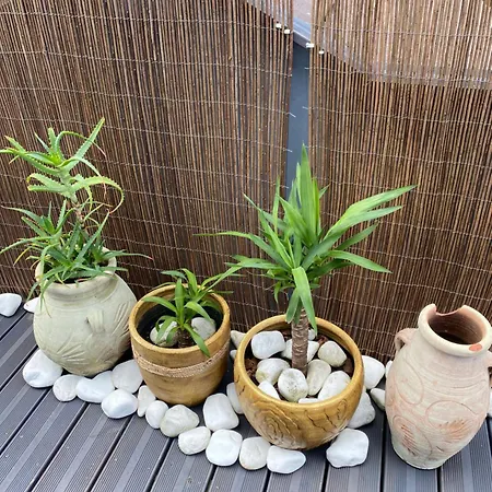 Villa 160m Piekny Stylowy Dwupoziomowy Dom *