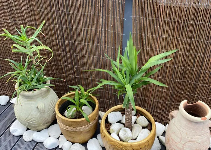 Вілла 160m Piekny Stylowy Dwupoziomowy Dom *